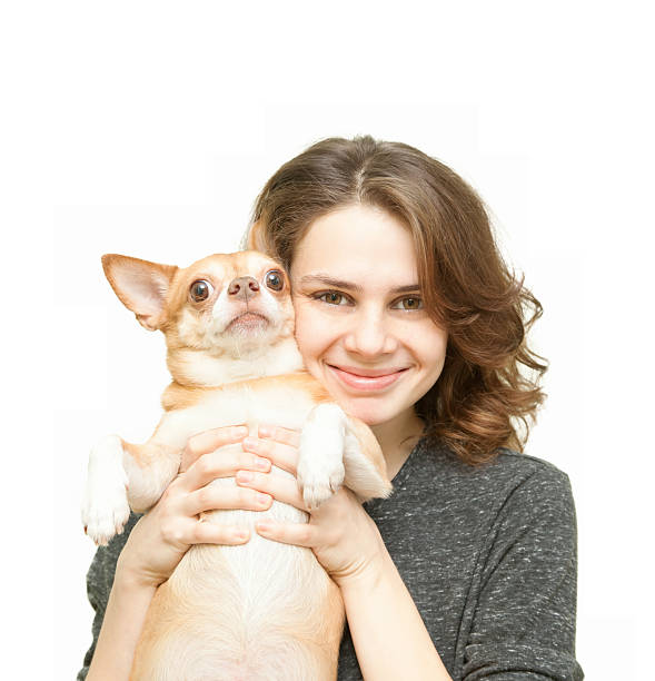 belle jeune femme avec chien chihuahua isolé - chihuahua stroking pets human hand photos et images de collection