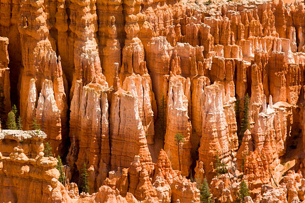 Bryce Canyon Hoodoos stock photo