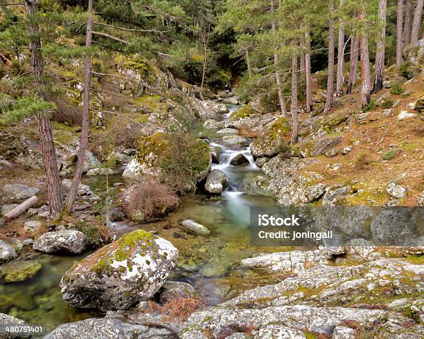 The Tartagine River Near Mausoleo In Northern Corsica Stock Photo - Download Image Now