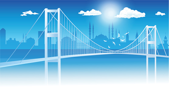 Turkey Istanbul Bosphorus view vector illustration