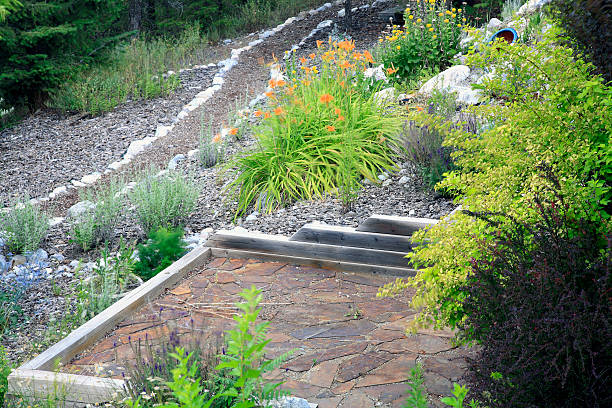 Xeriscaped Gardening Ideas At Their Best