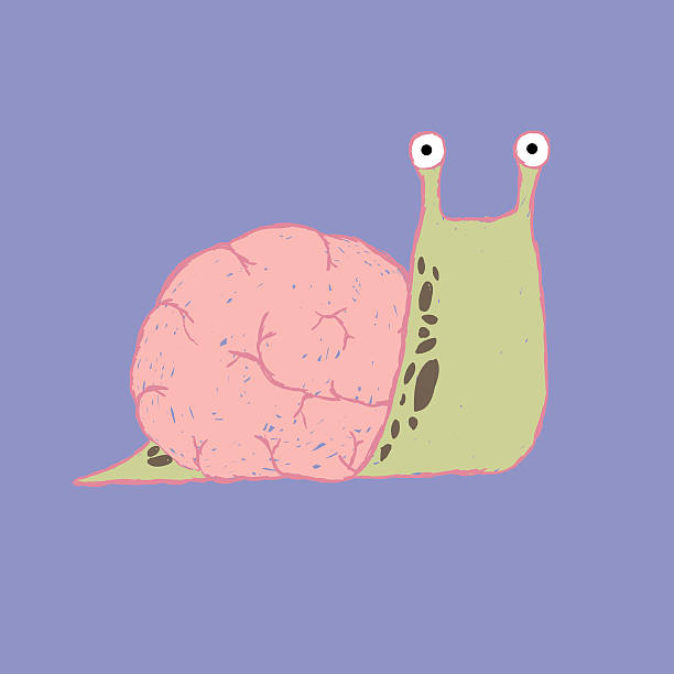 Brain slug Snail brain shell free hand drawing vector. thinking fast and slow stock illustrations