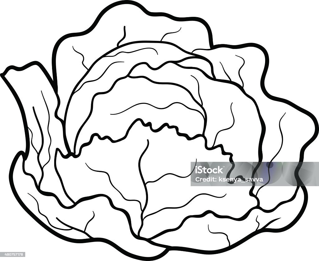 Coloring book: fruits and vegetables (cabbage) Coloring book for children: fruits and vegetables (cabbage) 2015 stock vector