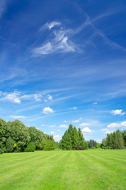 istock XXXL Summer Landscape Vertical 480759111