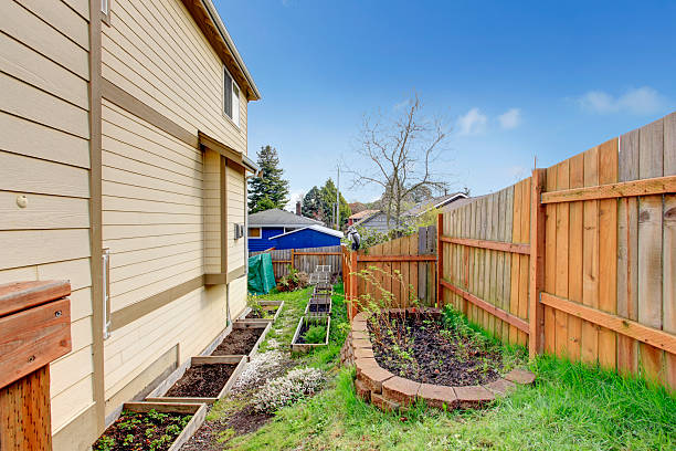 istock Small backyard garden bed wih wooden trellis. 480759645