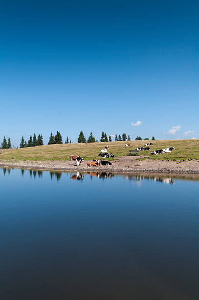 istock Alpine Lake of Schwartzsee by Verditz (Carinthia, Austria) 480760295