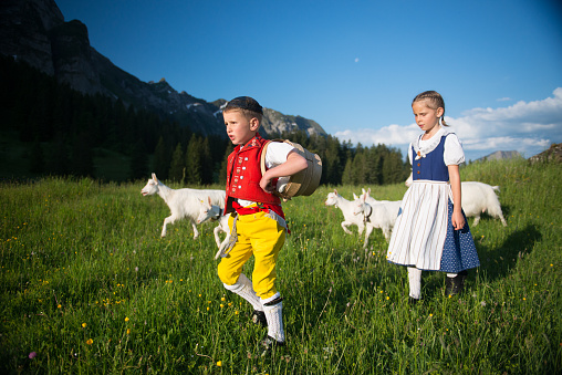 A boy and a girl in traditional Swiss costumes, bring the goats and cows in a traditional procession called the 'Alpaufzug' to the alpine pastures. Schwaegalp, Switzerland
