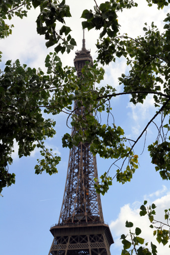 The Eiffel Tower in Parism hidden by foliage.