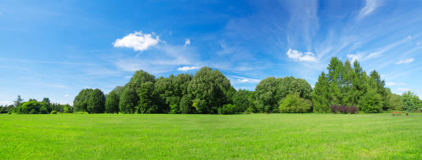 64 mpix paysage d'été panoramique - pasture green meadow cloud photos et images de collection