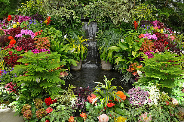 colorato giardino tropicale - tropical rainforest rainforest tropical climate formal garden foto e immagini stock