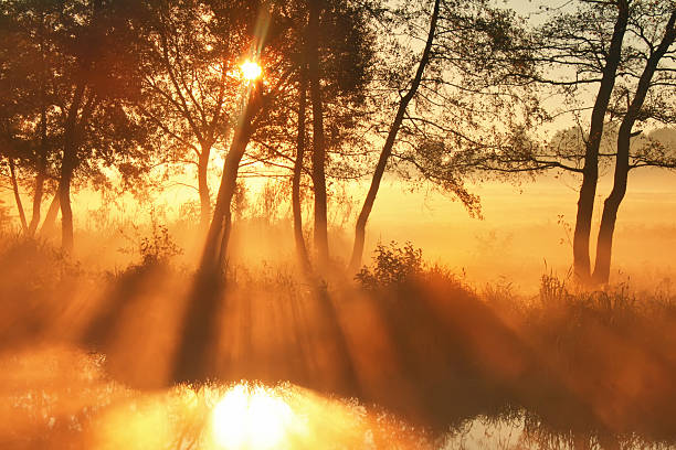 istock Misty dawn at the lake in spring 480767168