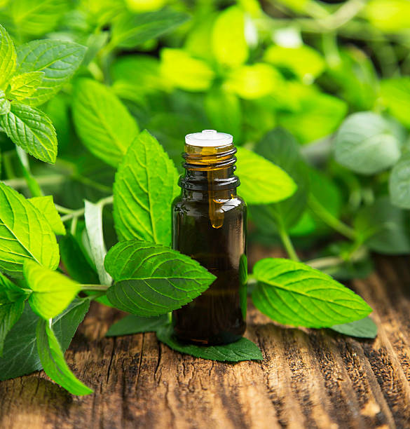 istock Natural Mint Essential Oil in a Little Glass Bottle 480767490