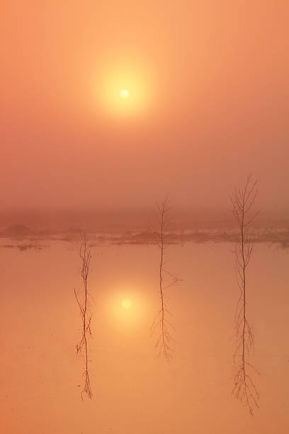 istock Spring flooding of the river 480767586