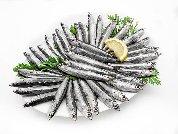 istock Fresh and raw mediterranean anchovy on white background 480768678