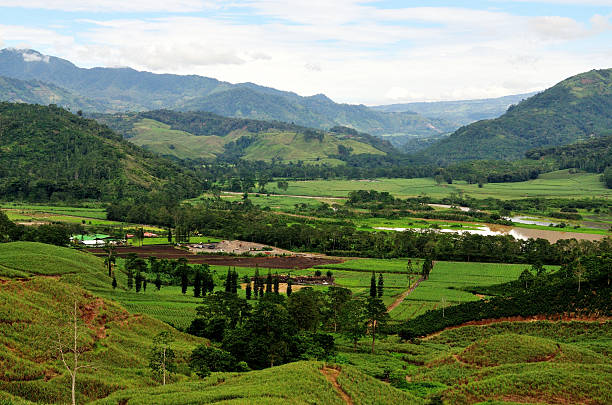 plantation nos vales - aggriculture - fotografias e filmes do acervo