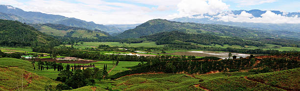 de montanhas, vales paisagem da costa rica - aggriculture - fotografias e filmes do acervo