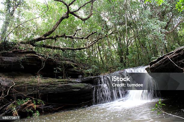 Wasserfall Ubon Ratchathani Thailand Stockfoto und mehr Bilder von Bach - Bach, Baum, Entspannung