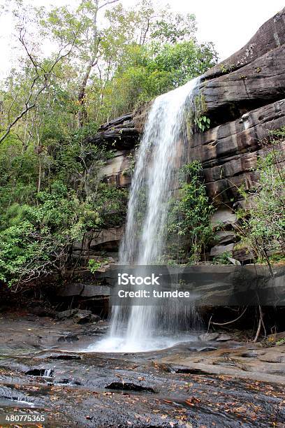 Cascata Ubon Ratchathani Tailandia - Fotografie stock e altre immagini di Albero - Albero, Ambientazione esterna, Cascata