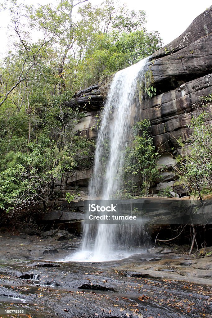 Водопад Ubon Ratchathani Таиланд - Стоковые фото Headwaters Лес роялти-фри