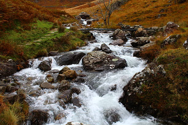 istock Cadair Idris River - Wales - UK 480777720