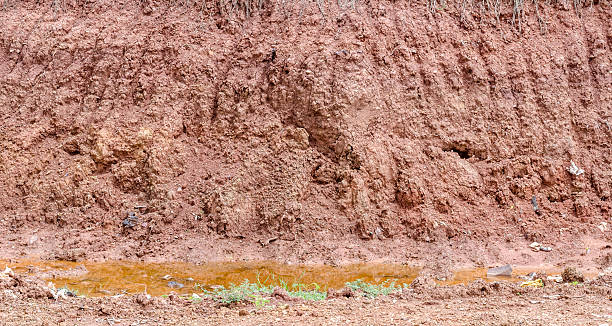 istock Crack soil on dry season, Effect of Global worming, 480778064