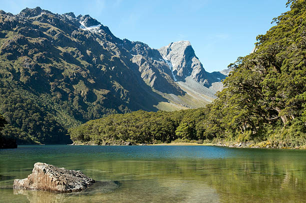 istock Fabulous scenery in New Zealand 480779117