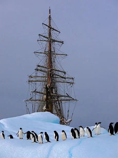 old tallship or sailboat with adelie penguins
