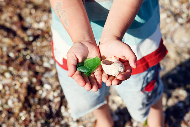 boy holds seashells and sea glass in his hands
