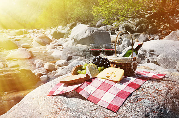 istock Red wine, cheese and grapes served at a picnic 480783570