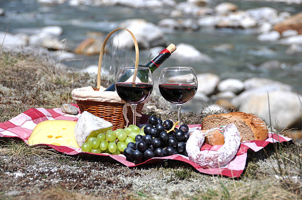 istock Red wine, cheese and grapes served at a picnic 480783576