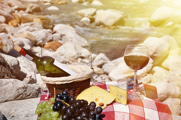 istock Red wine, cheese and grapes served at a picnic 480783580