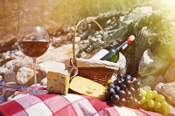 istock Red wine, cheese and grapes served at a picnic 480783584