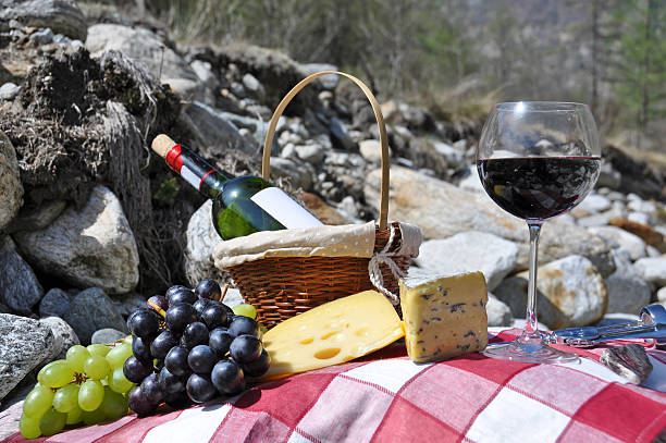istock Red wine, cheese and grapes served at a picnic 480783586