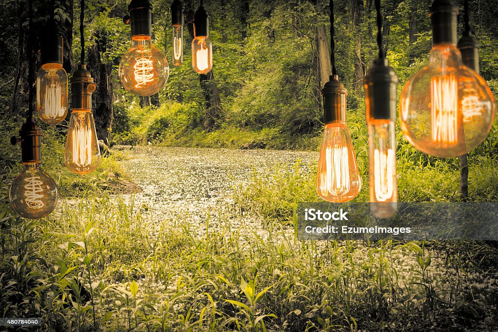 Edison Lightbulbs Decorative antique edison style filament light bulbs hanging in the woods 2015 Stock Photo