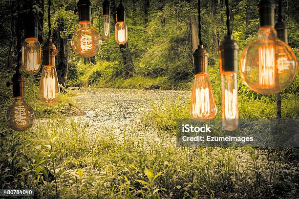 Edison Lightbulbs Stock Photo - Download Image Now - 2015, Antique, Bright