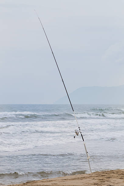 istock Fishing rod in the sand Coastline blurred in background 480784656