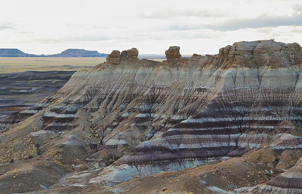 istock Blue Mesa, Petrified Forest National Park, 480785035