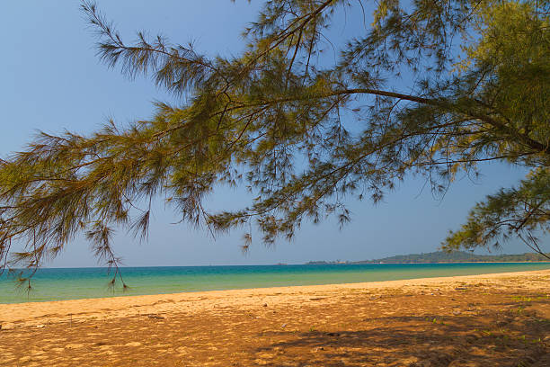 istock coastline and turquoise sea 480785647