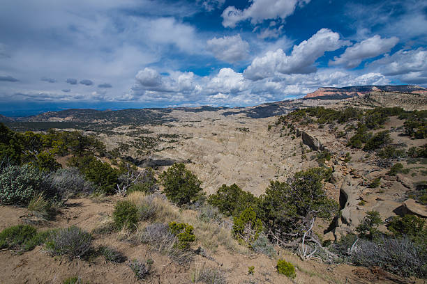 istock Table Cliff Plateau - Garfield County, UT Overlook 480785994