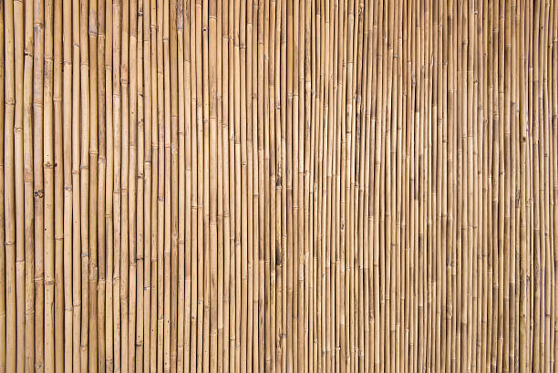 Bamboo Texture stock photo