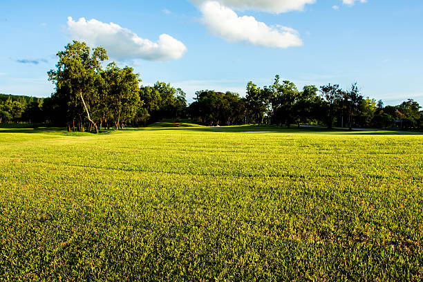 istock field of spring grass against blue sky with clound. 480788947
