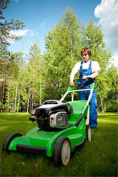 istock lawn mover man working on the backyard 480789298