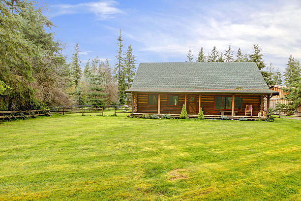 istock Rustic old log cabin exterior with large grass and woods. 480793663