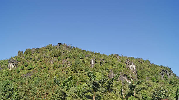 istock Sapa, Vietnam: Wonderful view of Sapa's mountains 480794632