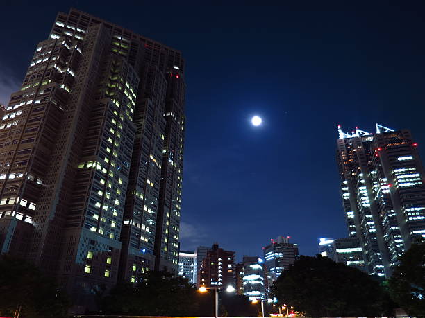 istock Moonlit night of night view 480798696