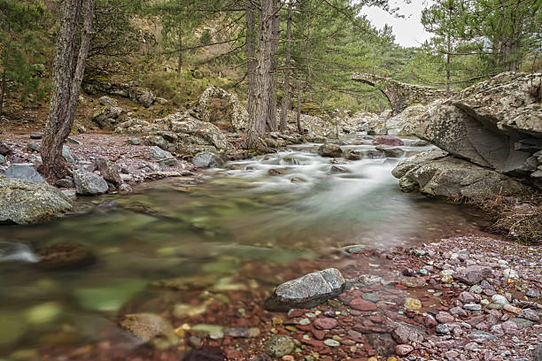 istock Genoese bridge over cascading Tartagine river in Corsica 480800853