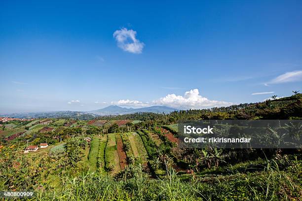 Widok Na Zielone Wzgórza I Gospodarstw W Azji Południowej Indonezja - zdjęcia stockowe i więcej obrazów Bandung