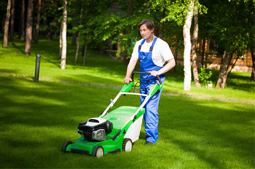 lawn mower man on the backyard