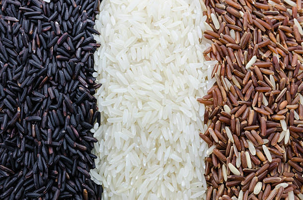 istock Food background with three rows of rice varieties 480804623