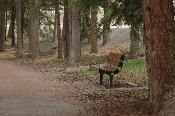 istock lonely chair in autumn forest 480806049